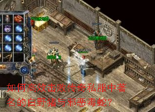 如何高效击败传奇私服中著名的白野猪与邪恶毒蛇? 如何高效击败传奇私服中著名的白野猪与邪恶毒蛇?