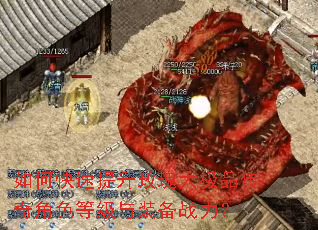 如何快速提升玫瑰大极品传奇角色等级与装备战力? 如何快速提升玫瑰大极品传奇角色等级与装备战力?