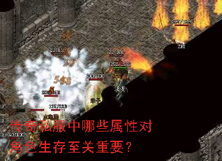 传奇私服中哪些属性对角色生存至关重要? 传奇私服中哪些属性对角色生存至关重要?