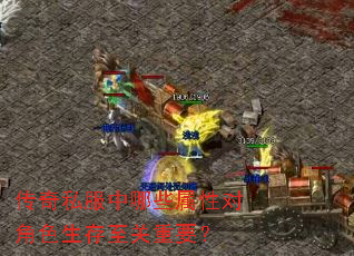 传奇私服中哪些属性对角色生存至关重要? 传奇私服中哪些属性对角色生存至关重要?