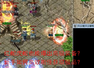 红蛇虎蛇也能爆出高级装备?新手如何高效刷怪获取极品? 红蛇虎蛇也能爆出高级装备?新手如何高效刷怪获取极品?