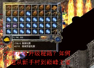 大佬小号升级秘籍?如何快速从新手村到巅峰王者 大佬小号升级秘籍?如何快速从新手村到巅峰王者