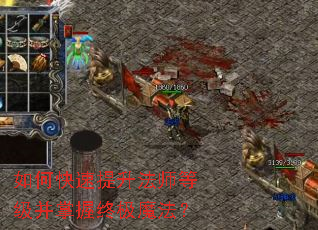 如何快速提升法师等级并掌握终极魔法? 如何快速提升法师等级并掌握终极魔法?