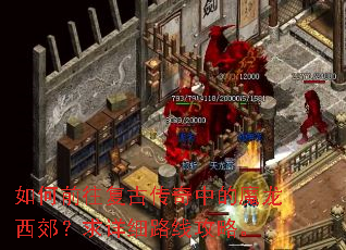 如何前往复古传奇中的魔龙西郊?求详细路线攻略。 如何前往复古传奇中的魔龙西郊?求详细路线攻略。