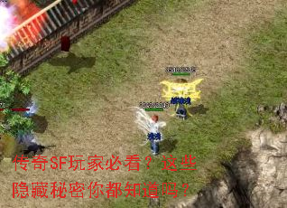 传奇SF玩家必看?这些隐藏秘密你都知道吗? 传奇SF玩家必看?这些隐藏秘密你都知道吗?