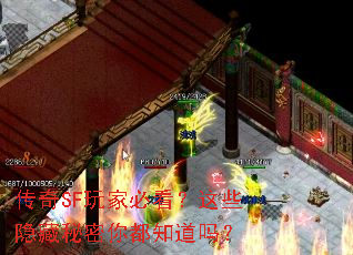 传奇SF玩家必看?这些隐藏秘密你都知道吗? 传奇SF玩家必看?这些隐藏秘密你都知道吗?