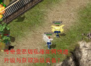 传奇变态版私服如何快速升级与获取顶级装备? 传奇变态版私服如何快速升级与获取顶级装备?