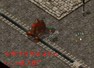 如何快速升级成为krypton金大佬? 如何快速升级成为krypton金大佬?