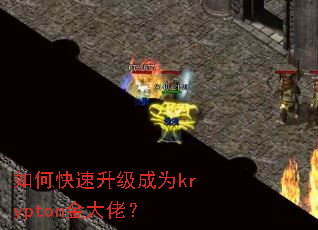 如何快速升级成为krypton金大佬? 如何快速升级成为krypton金大佬?