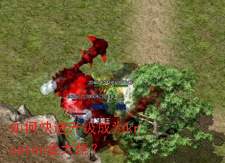 如何快速升级成为krypton金大佬? 如何快速升级成为krypton金大佬?
