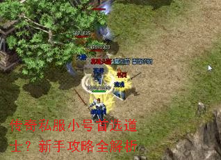 传奇私服小号首选道士?新手攻略全解析 传奇私服小号首选道士?新手攻略全解析