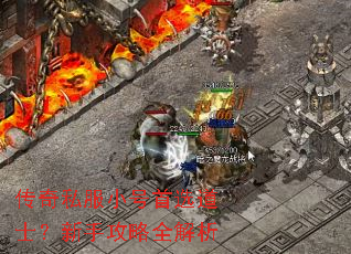 传奇私服小号首选道士?新手攻略全解析 传奇私服小号首选道士?新手攻略全解析