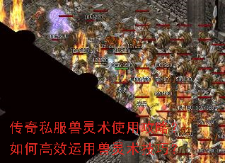 ����˽��������ʹ�ù��ԣ���θ�Ч�������������ɣ�
