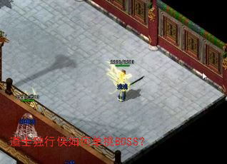 道士独行侠如何单挑BOSS? 道士独行侠如何单挑BOSS?