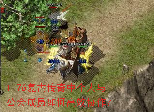 1.76复古传奇中个人与公会成员如何高效协作? 1.76复古传奇中个人与公会成员如何高效协作?