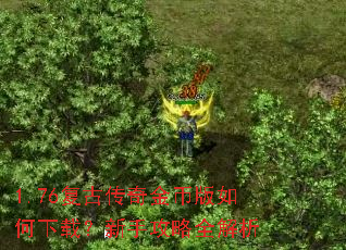 1.76复古传奇金币版如何下载?新手攻略全解析 1.76复古传奇金币版如何下载?新手攻略全解析