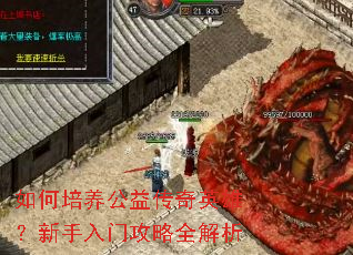 ����������洫��Ӣ�ۣ��������Ź���ȫ����