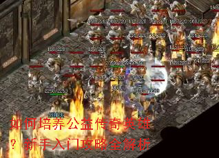 ����������洫��Ӣ�ۣ��������Ź���ȫ����