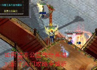 ����������洫��Ӣ�ۣ��������Ź���ȫ����