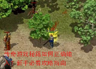 ������Ϸ�ؼ������ȷ���룿���ֱؿ�����ָ��