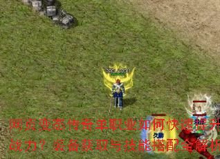 网页变态传奇单职业如何快速提升战力?装备获取与技能搭配全解析 网页变态传奇单职业如何快速提升战力?装备获取与技能搭配全解析