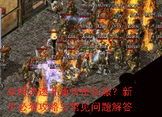 如何快速开通传奇私服?新手必看攻略与常见问题解答 如何快速开通传奇私服?新手必看攻略与常见问题解答