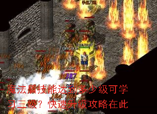 魔法盾技能达到多少级可学习三级?快速升级攻略在此 魔法盾技能达到多少级可学习三级?快速升级攻略在此