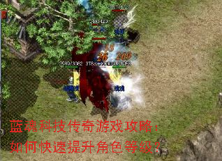 蓝魂科技传奇游戏攻略:如何快速提升角色等级? 蓝魂科技传奇游戏攻略:如何快速提升角色等级?