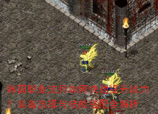 韩国职业法师如何快速提升战力?装备选择与技能搭配全解析 韩国职业法师如何快速提升战力?装备选择与技能搭配全解析