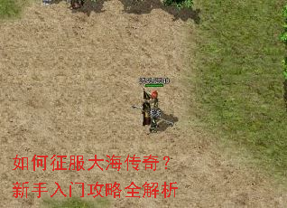 ��������󺣴��棿�������Ź���ȫ����