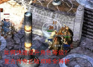 ��ο���������ɫ�ȼ������Ŵ������湥��ȫ����