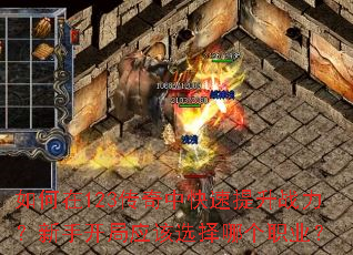 �����123�����п�������ս�������ֿ���Ӧ��ѡ���ĸ�ְҵ��