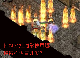 传奇外挂通常使用哪种编程语言开发? 传奇外挂通常使用哪种编程语言开发?